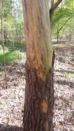 20220423_144123.webp