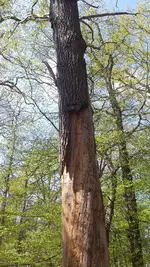 20220423_143446.webp