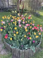 IMG_0661(1).webp