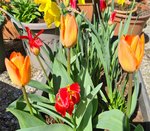 20220425_093843.jpg