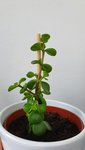 20220425_101759.jpg
