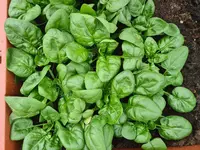 20220427_134647.webp 20220427_134647.webp