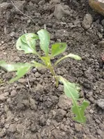 IMG_20220427_144352.webp