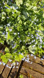 20220427_180229.webp
