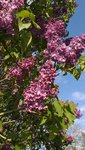 20220427_180351.jpg