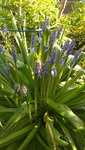20220427_180829.jpg