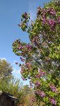20220427_182122.jpg