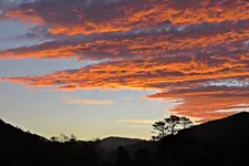 IMG_7580 v (2).webp