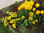 IMG_20220426_084523.jpg