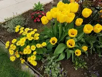 IMG_20220426_084523.webp