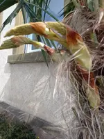 IMG_20220426_110738.webp