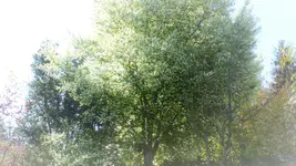 P1330522 (2).webp