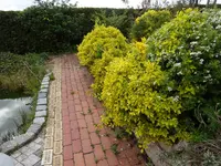 DSC02364.webp