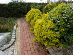 DSC02364.JPG