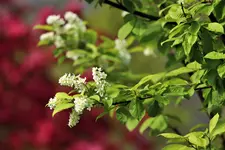 image003.webp