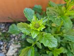 20220428_103734.jpg