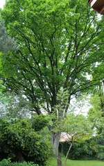 IMG_3786.webp
