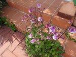 DSC02368.JPG