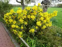 DSC02360 (1).webp
