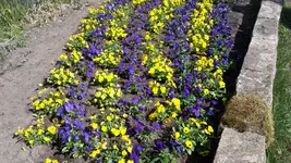 20220429_105609.webp