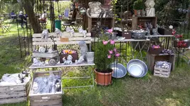 20220429_110118.webp