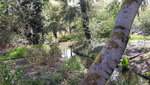 20220429_110323.jpg
