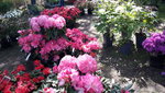 20220429_110433.jpg