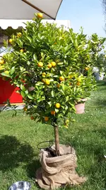 20220429_111626.webp