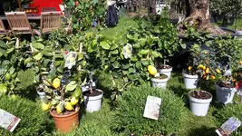 20220429_111715.webp