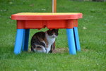 DSC_9168.JPG