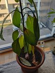 IMG_20220429_073633.jpg