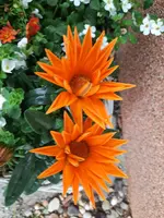 20220430_185422.webp
