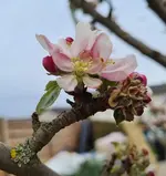 20220430_205810.webp