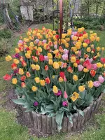 IMG_0692(1).webp