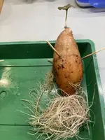 IMG_0699(1).webp IMG_0699(1).webp