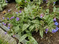 IMG_20220501_082618.webp