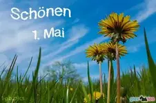 9905-000080_loewenzahn-himmel-schoenen-1-mai_1gb.pics.webp