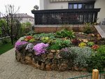IMG_20220422_122429.jpg