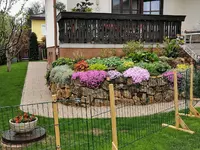 IMG_20220501_092636.webp