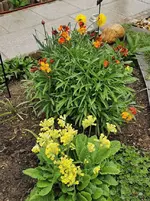 IMG_20220501_092656.webp