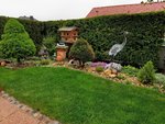 IMG_20220501_092816.jpg