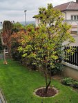 IMG_20220501_095004.jpg