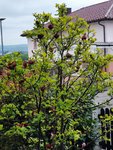 IMG_20220501_095027.jpg