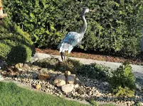 IMG_20220412_171236.webp