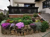 IMG_20220426_084134.webp