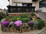 IMG_20220426_084134.jpg