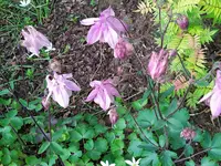 IMG_20220501_173549_1.jpg