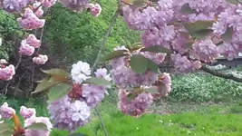 20220501_194855.webp