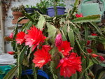 DSC02371.JPG
