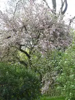 P1070780.webp